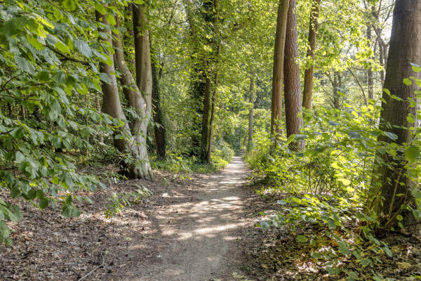 photo 37 Heisteeg 16